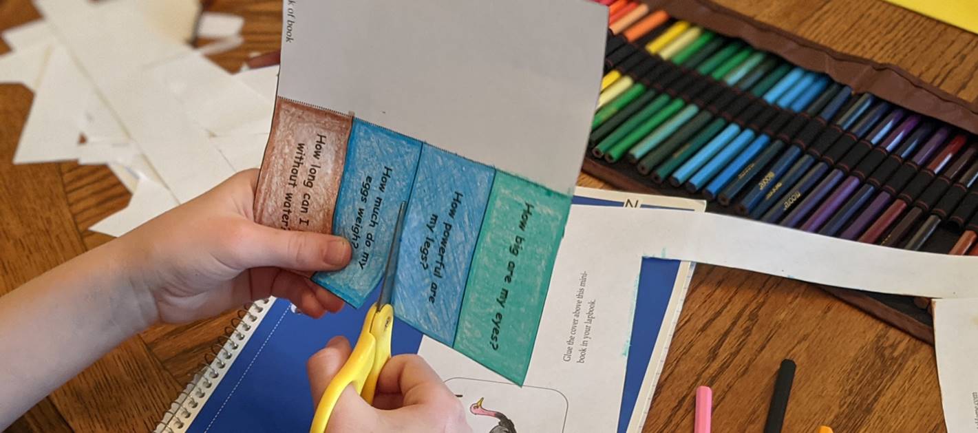 My Animal Book Series 2: Printable Lapbook, Word Search Puzzles ...