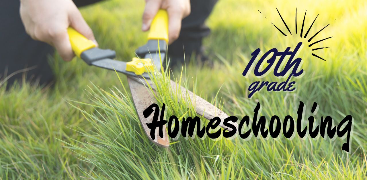 5 Things We LOVED About Homeschooling 10th Grade - Tools 4 Schools at Home