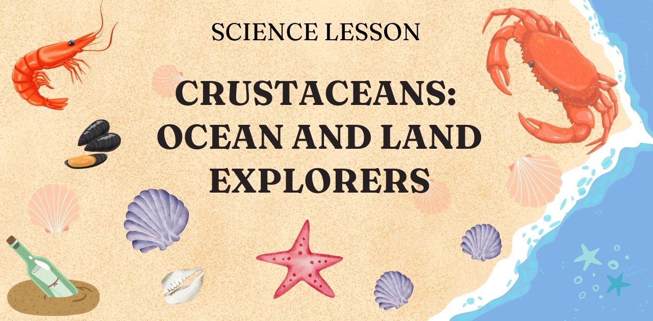 Science Lesson: Crustaceans - Tools 4 Schools at Home